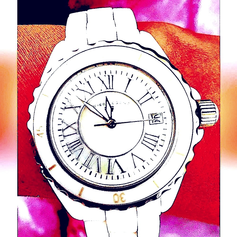 Swiss Legend Women’s Karamicq worn only a handful of times